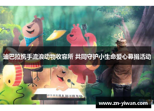 迪巴拉携手流浪动物收容所 共同守护小生命爱心募捐活动 迪巴拉携手流浪动物收容所 共同守护小生命爱心募捐活动