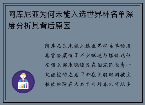 阿库尼亚为何未能入选世界杯名单深度分析其背后原因
